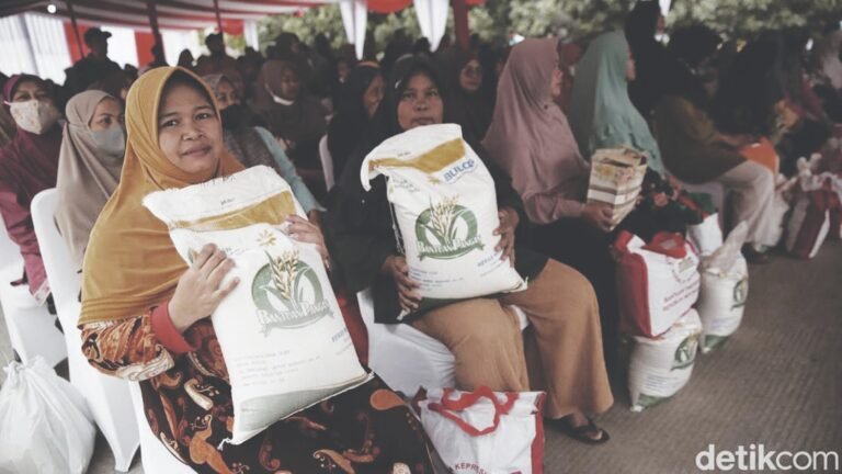 WhatsApp Image 2024-02-07 at 01.28.31