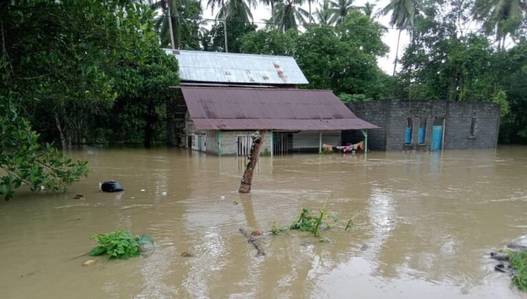 WhatsApp Image 2024-06-11 at 11.37.47