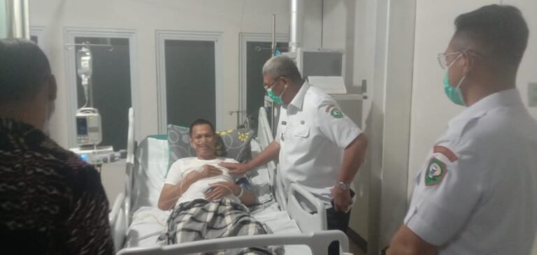 WhatsApp Image 2025-05-01 at 00.10.11