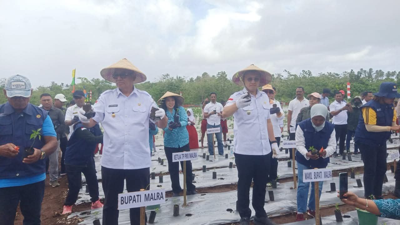 FB_IMG_1755164747167