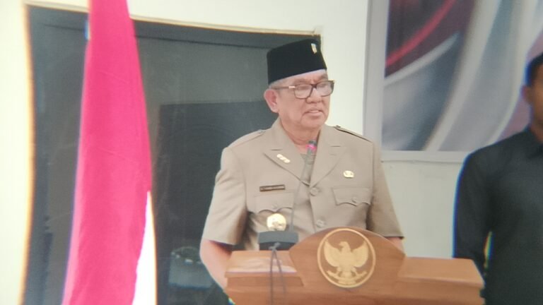 WhatsApp Image 2025-08-13 at 11.02.36