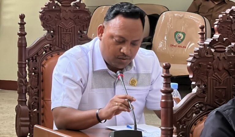 WhatsApp Image 2025-08-13 at 11.30.36