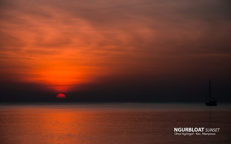 691c93e9-1c71-4bf0-bd3a-e5819c1d3d12